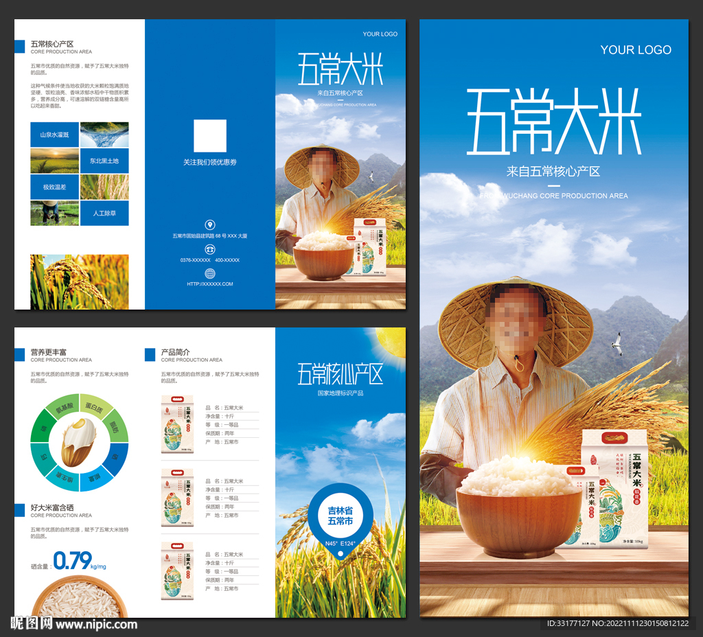 五常大米招商宣传三折页