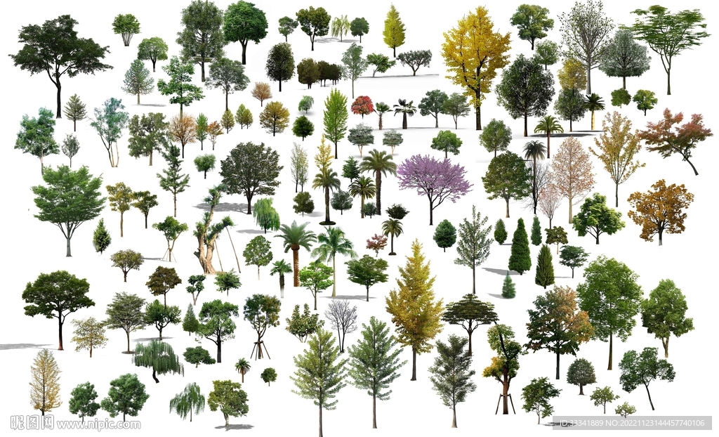 树木合集
