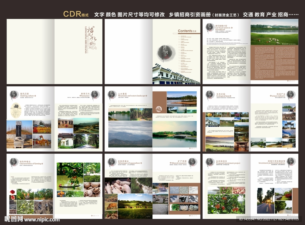 乡镇招商引资投资画册 