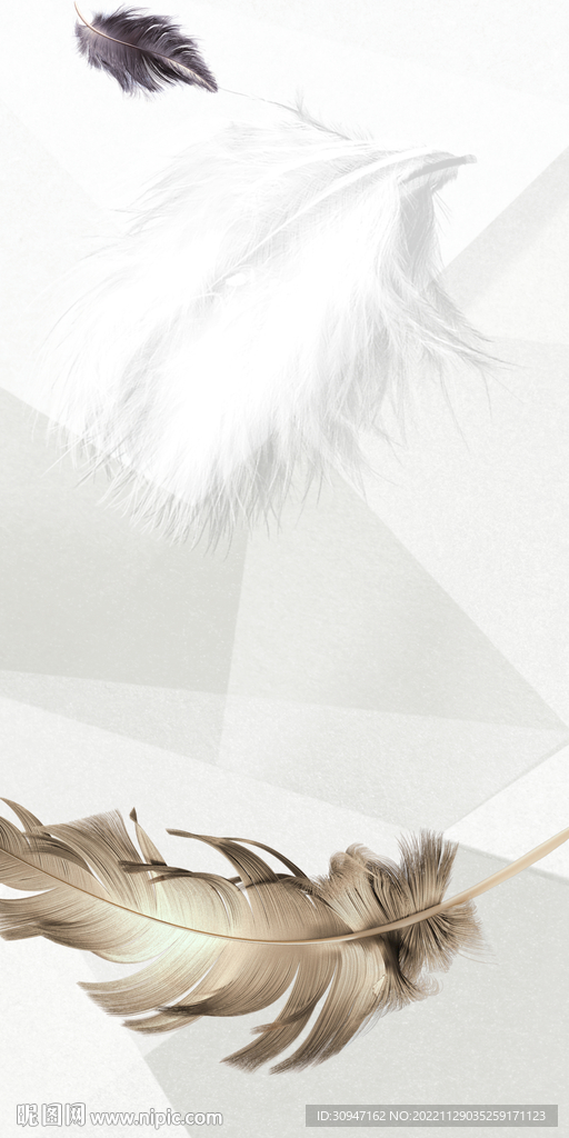 羽毛 新高清玄关画 TIF分层