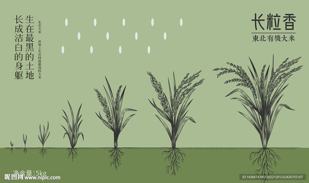 长粒香大米包装设计