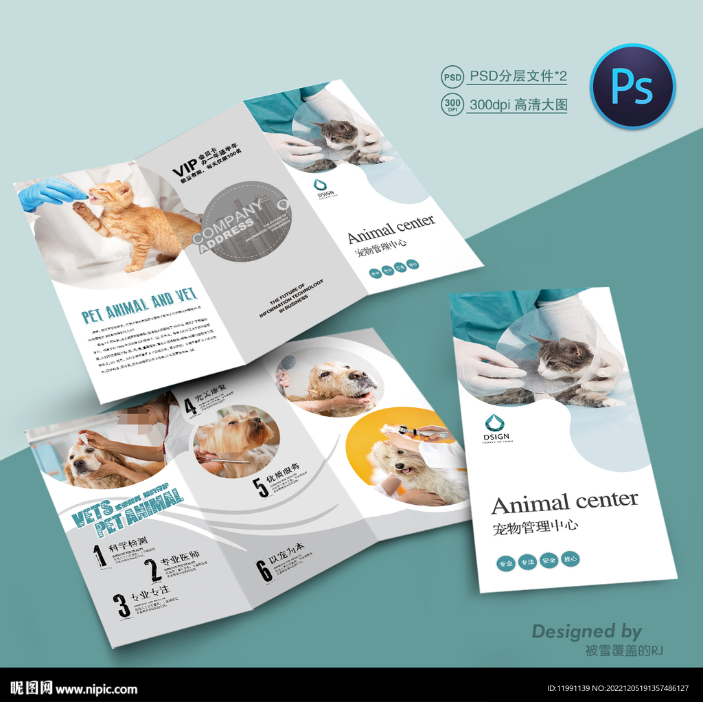 宠物美容三折页