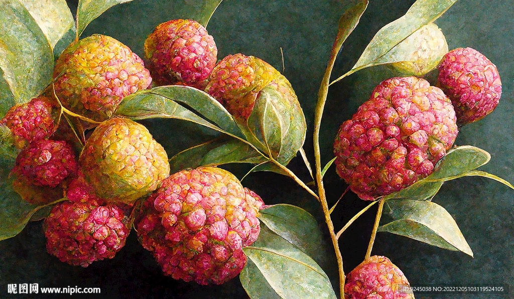 新中式手绘水果荔枝杨梅装饰画