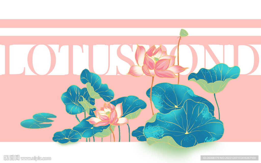 两朵荷花的荷塘一角插画