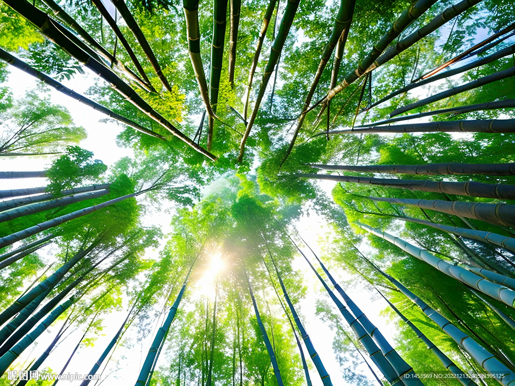 竹林软膜天花背景