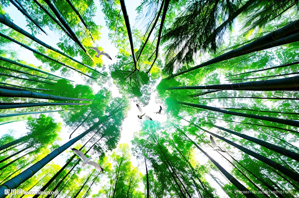 竹林仰望软膜天花