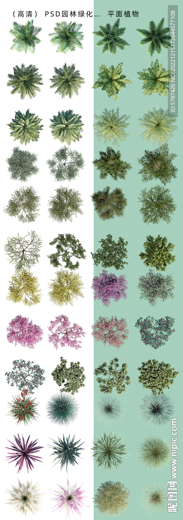 后期平面绿化树木图库