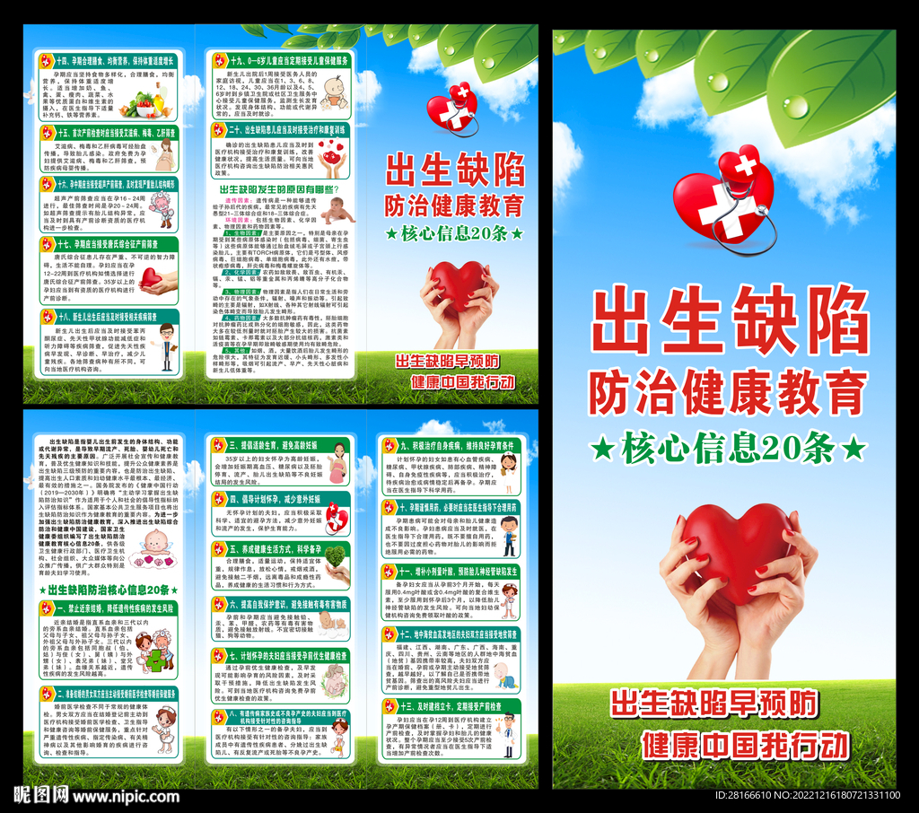 出生缺陷核心信息20条三折页