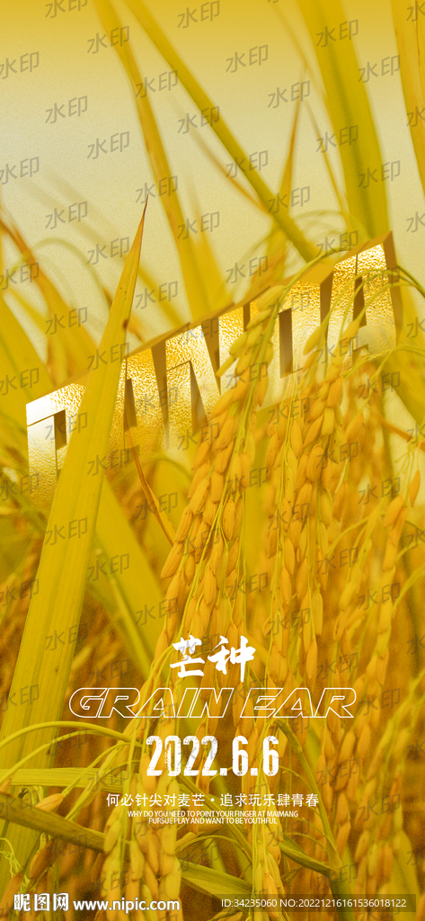 芒种节气海报