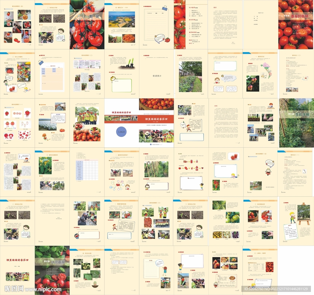 小学校本课程书版模板50页课本