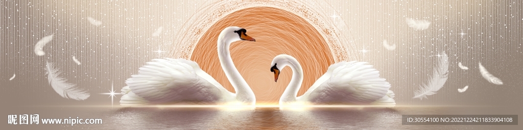 天鹅梦幻星空床头画图片