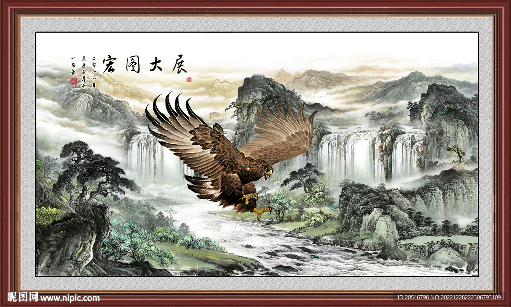 企业展望老鹰 白头海雕 美洲雕