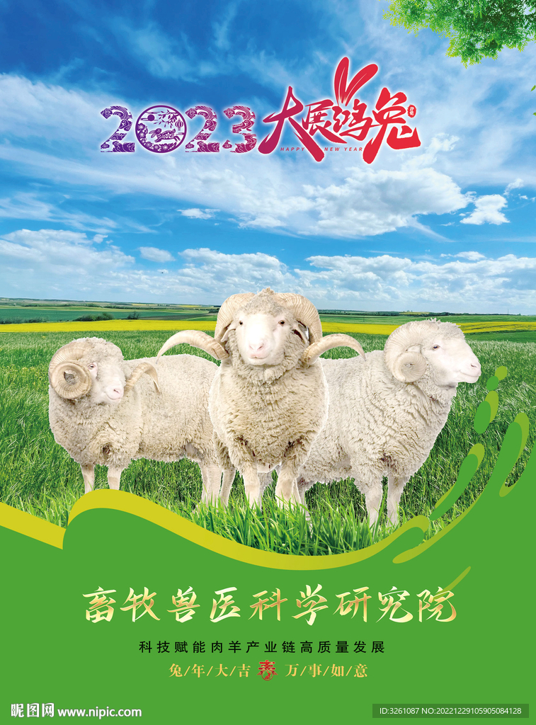 羊养殖海报