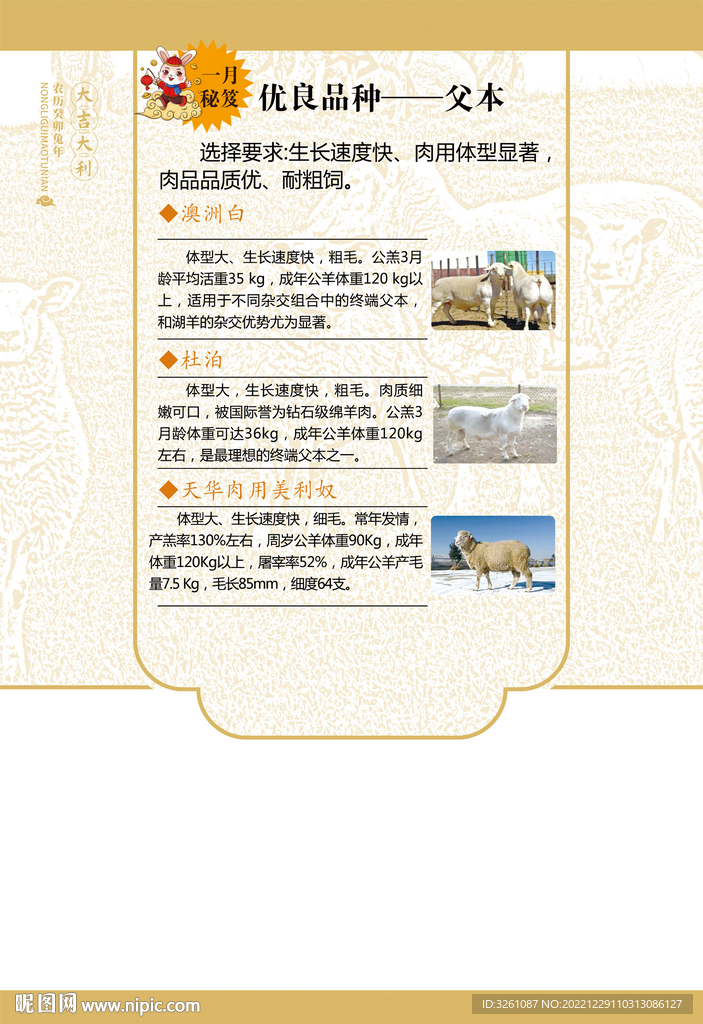 羊养殖海报