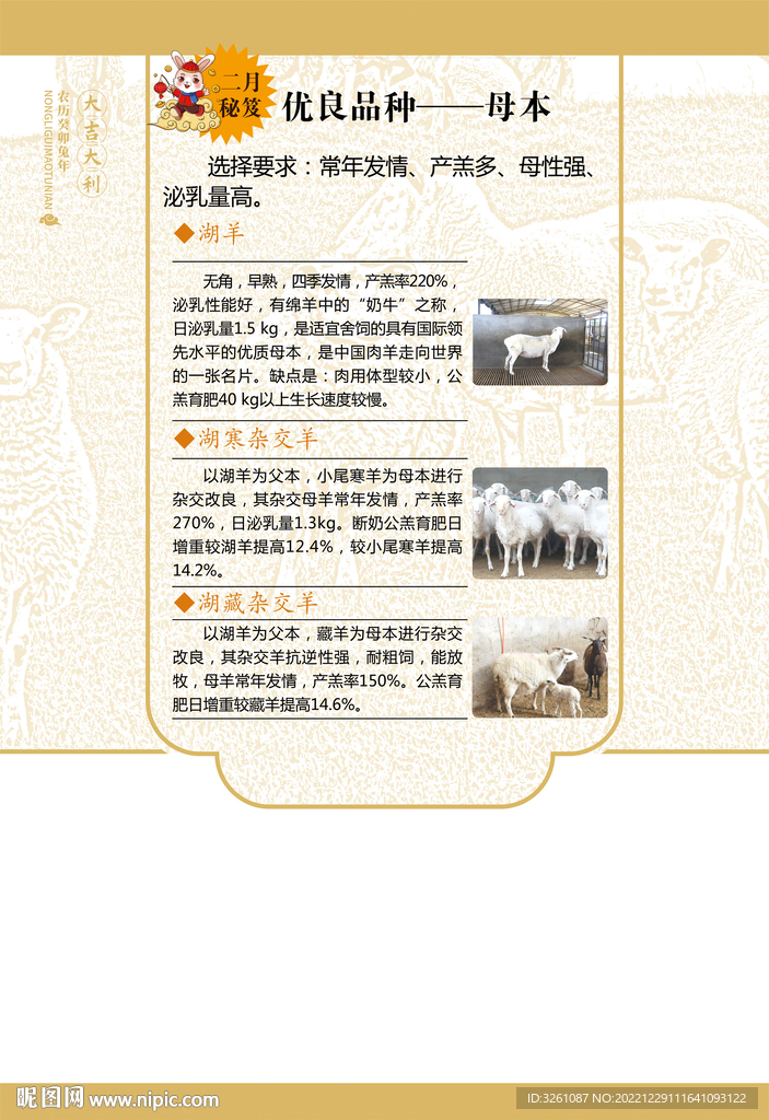 羊养殖海报