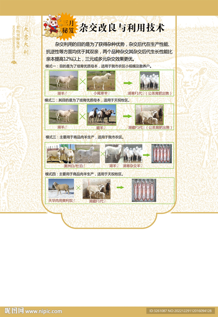 羊养殖海报