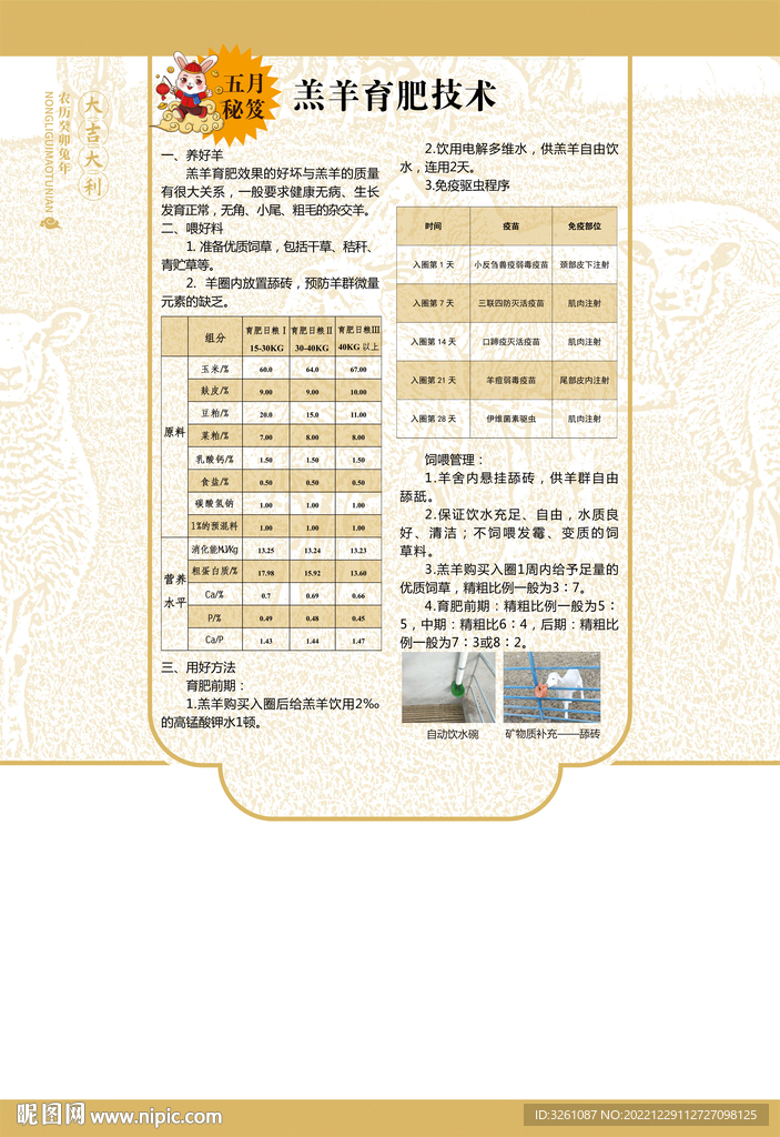 羊养殖海报