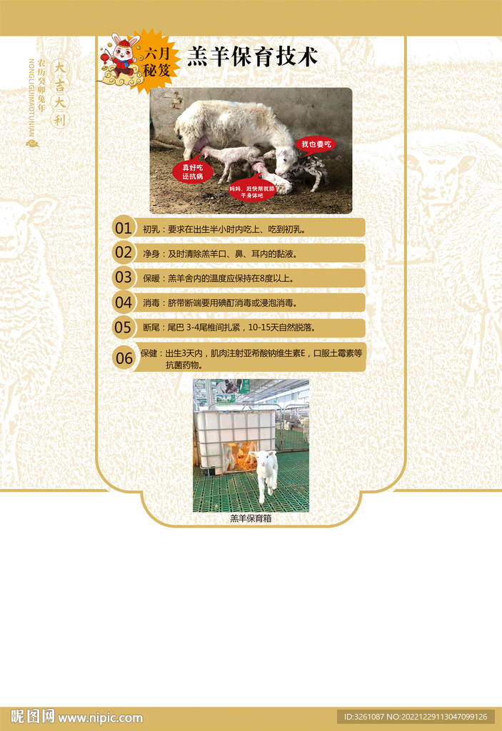 羊养殖海报
