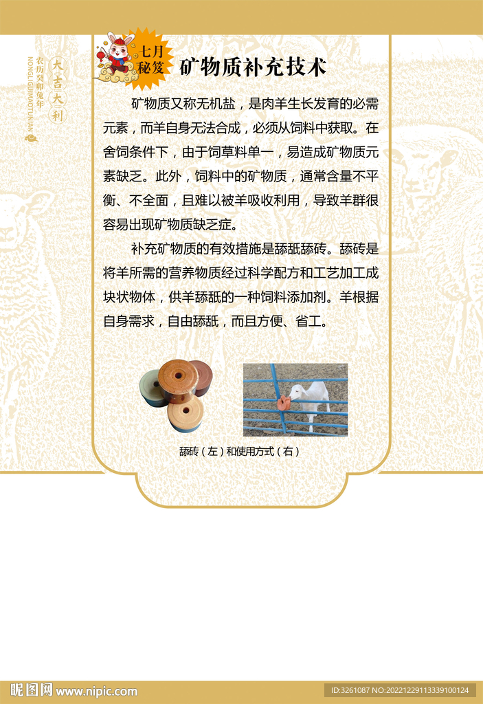 羊养殖海报