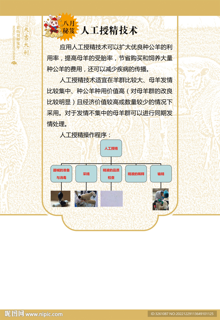 羊养殖海报