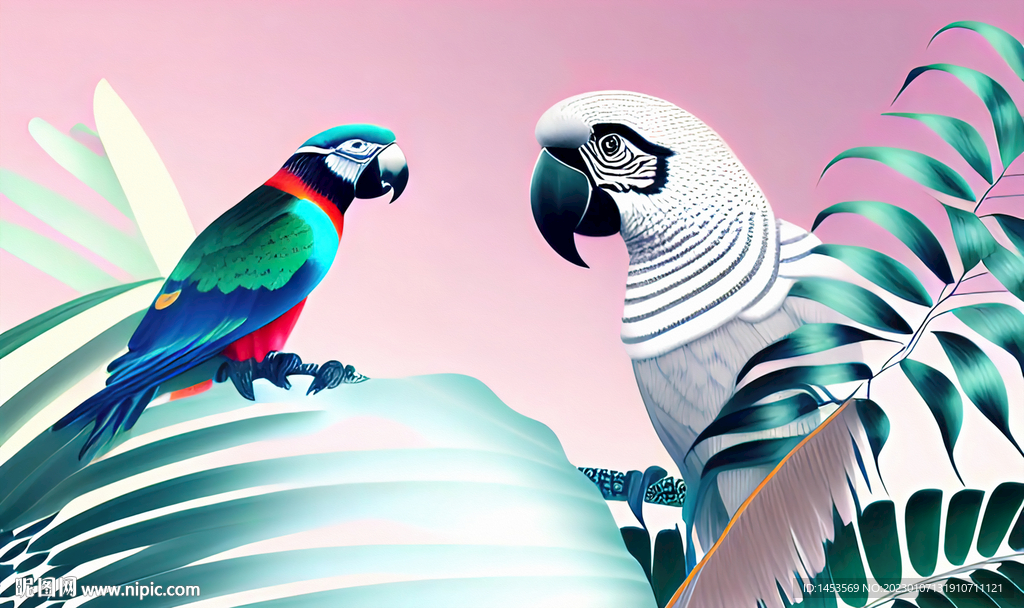 鹦鹉插画