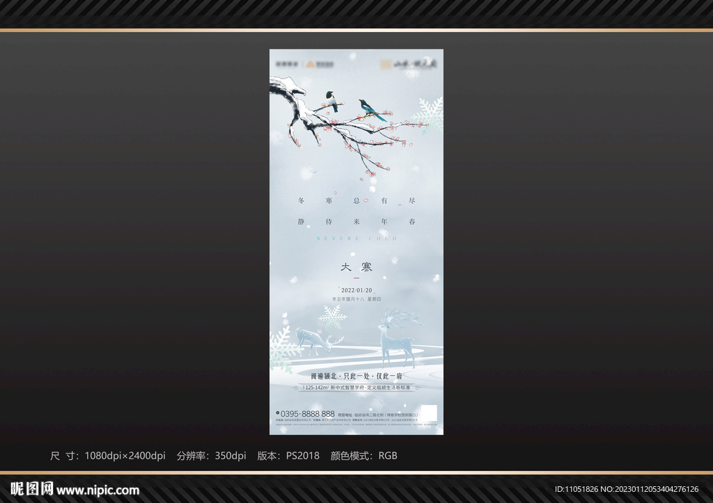 地产 大寒节气海报
