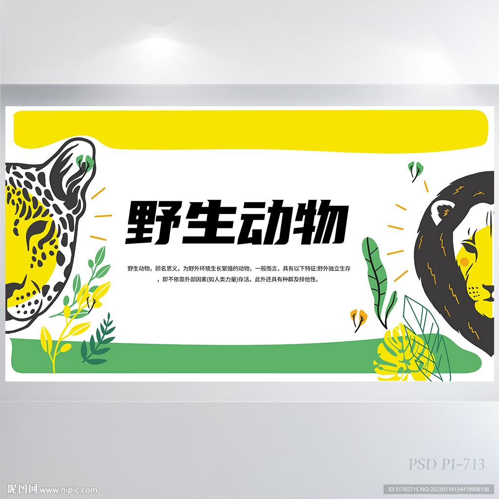 创意保护野生动物介绍海报展板