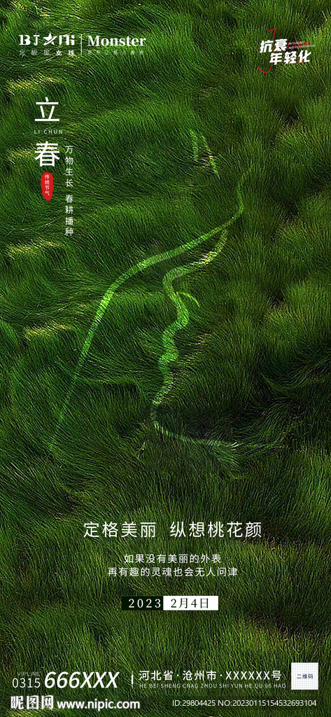 医美整形立春二十四节气海报宣传