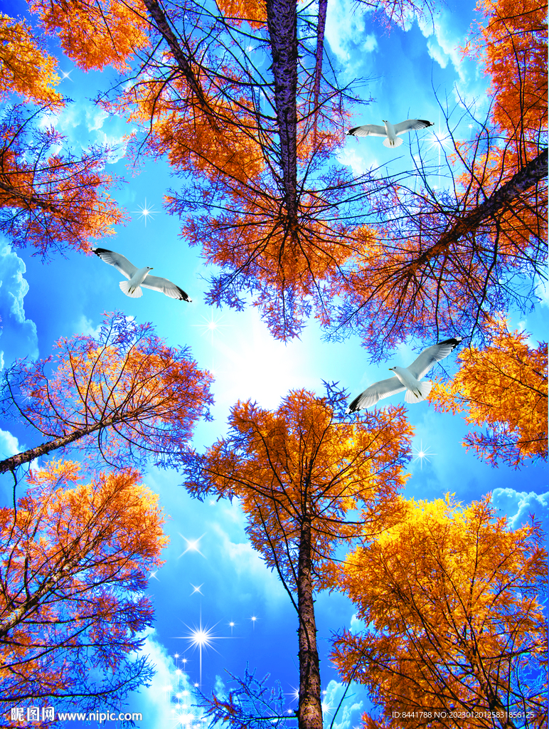 仰视树林蓝天白云