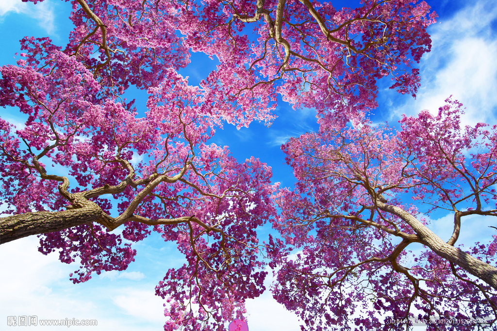 蓝天白云软膜天花