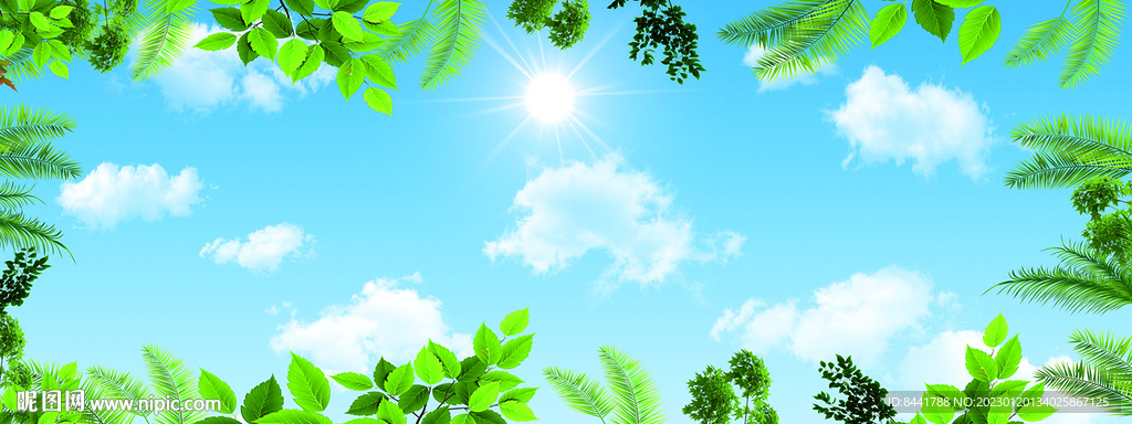 蓝天白云绿叶