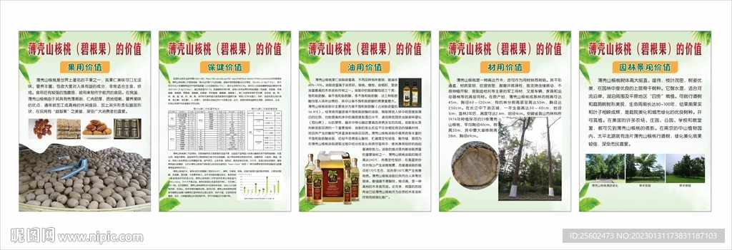 碧根果的利用价值