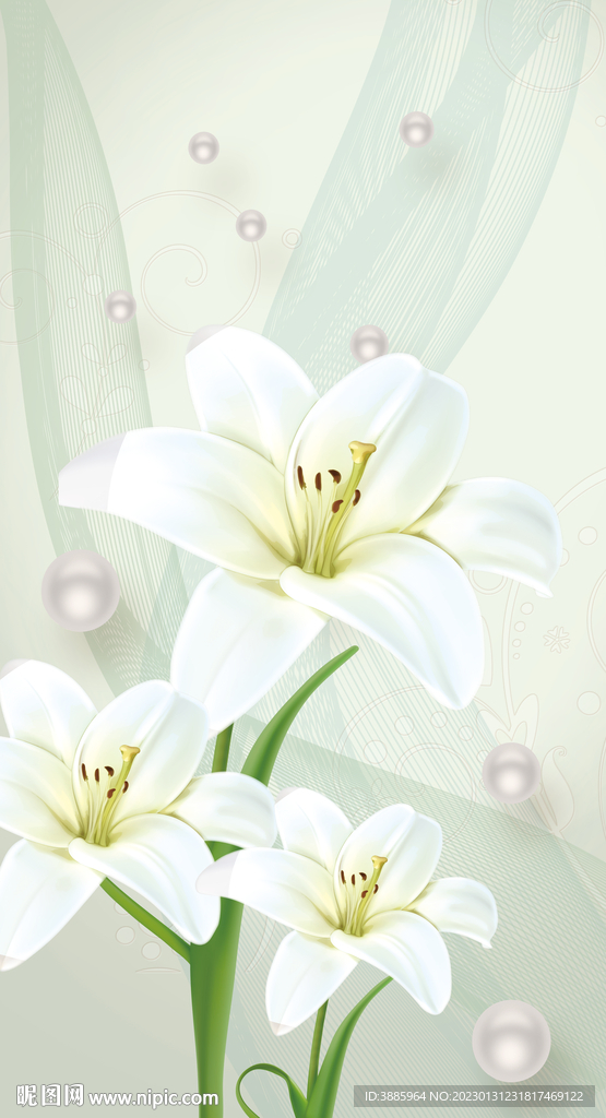 家和玉兰花瓶玄关图片