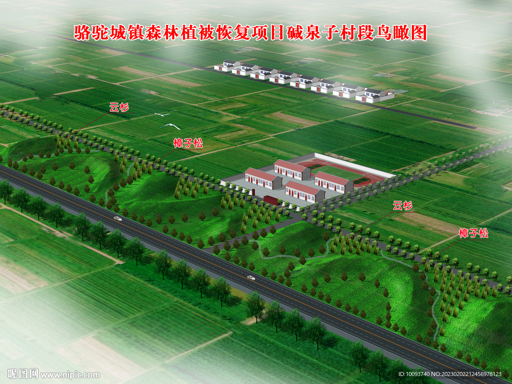 微地型国道绿化效查