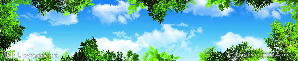 蓝天白云 绿叶