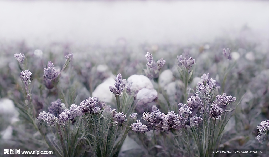 北欧现代轻奢薰衣草花海装饰画