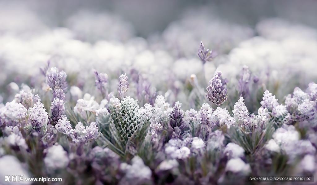 北欧现代轻奢薰衣草花海装饰画