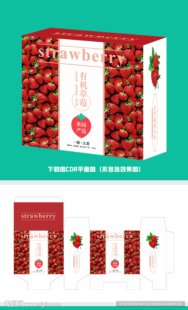 草莓包装