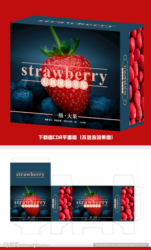 草莓包装