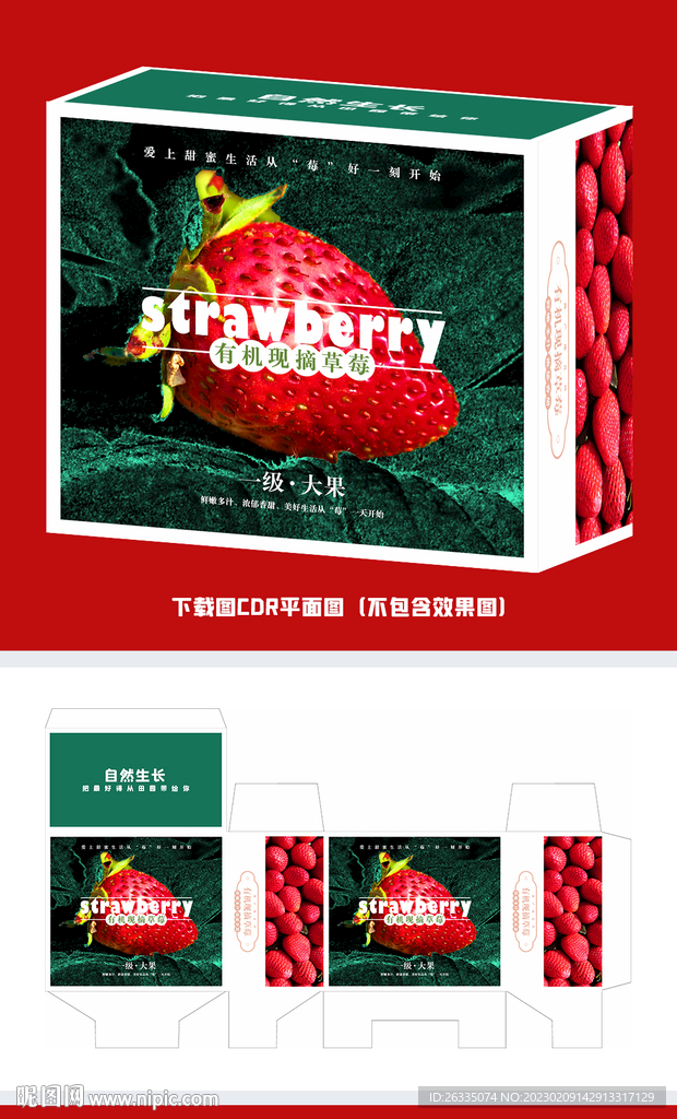 草莓包装