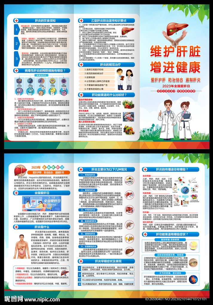 2023年全国爱肝日三折页