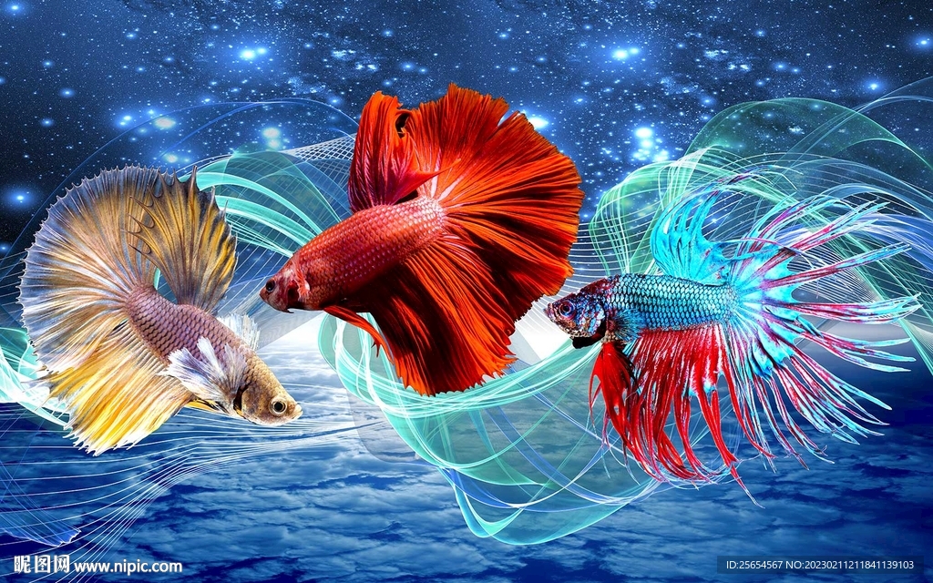 唯美七彩孔雀鱼背景墙