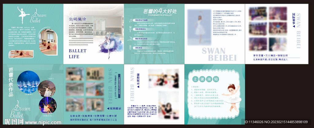 芭蕾舞画册