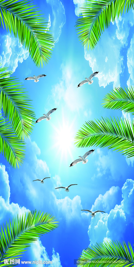 蓝天白云 椰树 