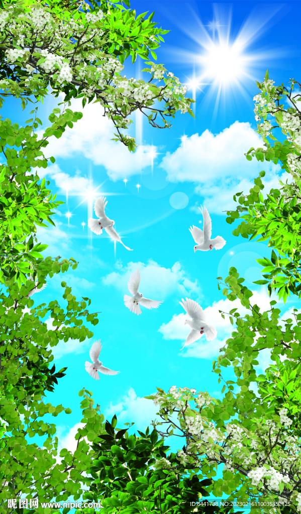 蓝天白云 鸽子