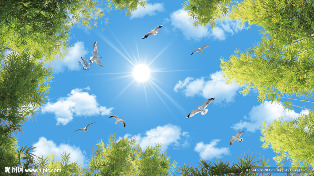 仰视蓝天白云竹叶