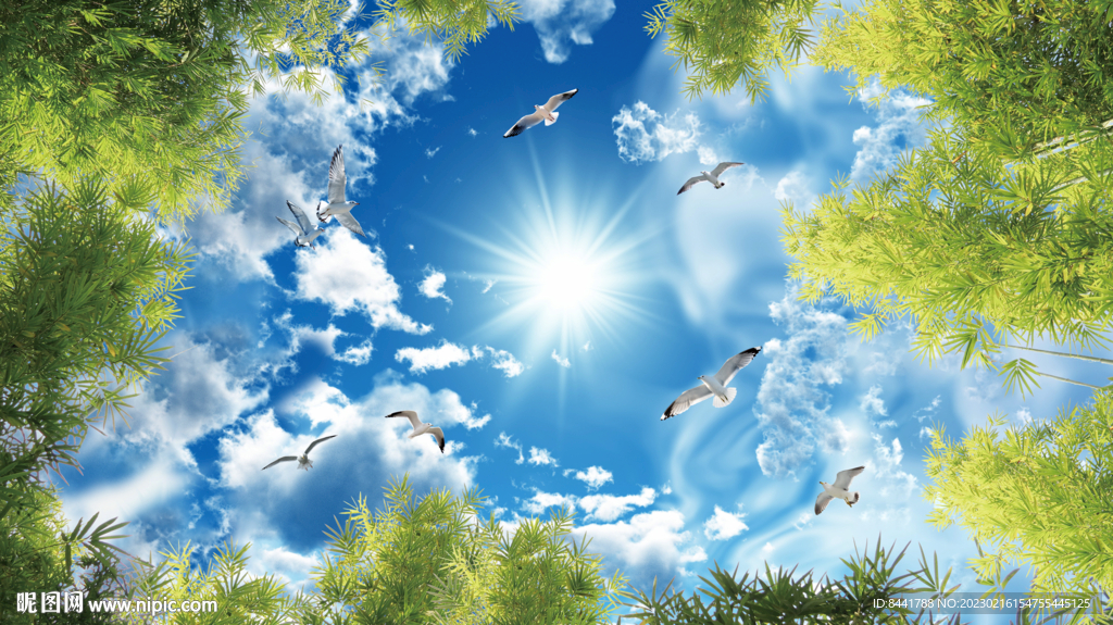 仰拍蓝天白云竹叶