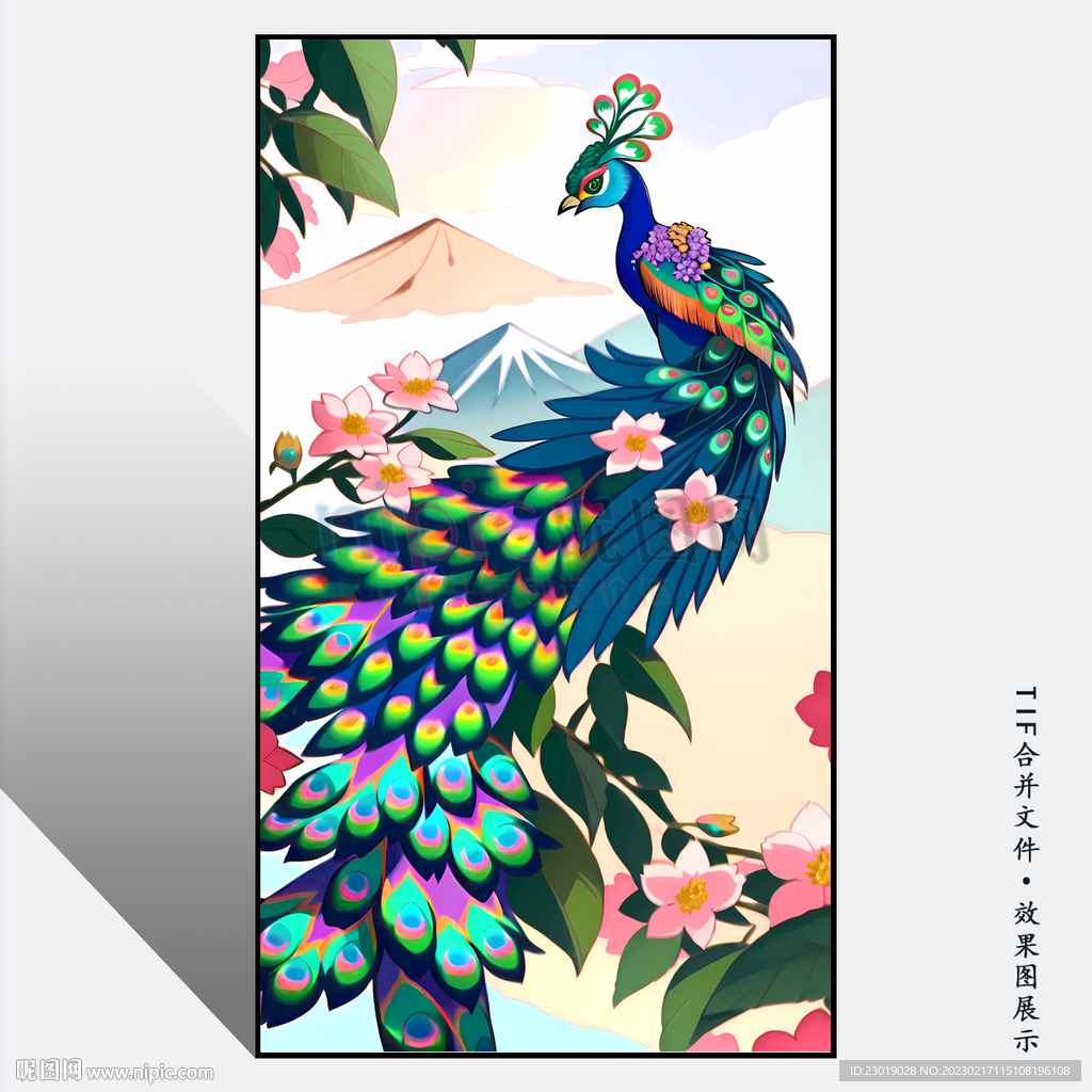 手绘孔雀玄关装饰画