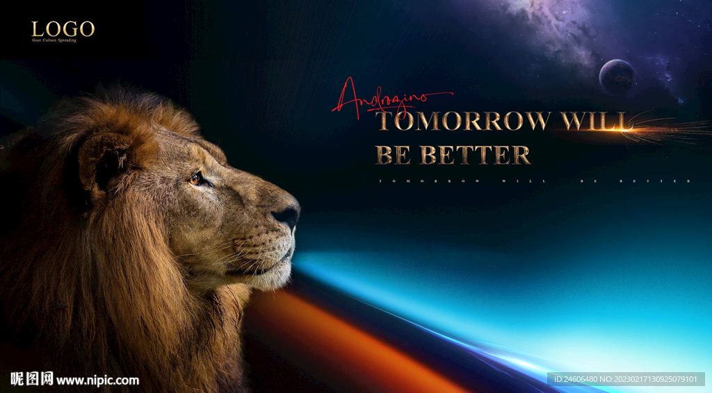 狮子 动物 王者