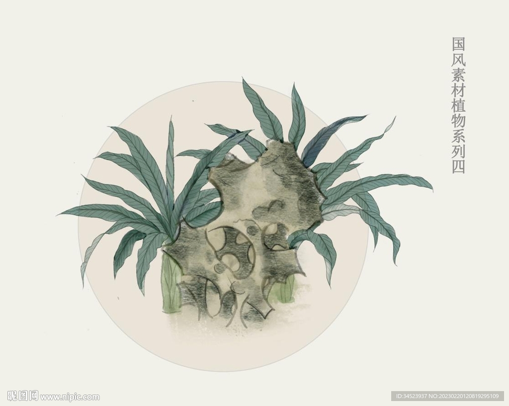 国画风植物系列